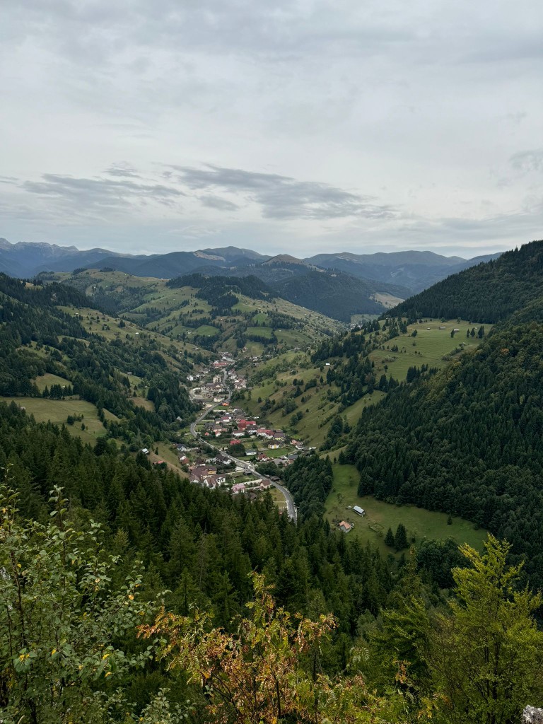 Forested Carpathian valley in Romania with a village strung along a single road