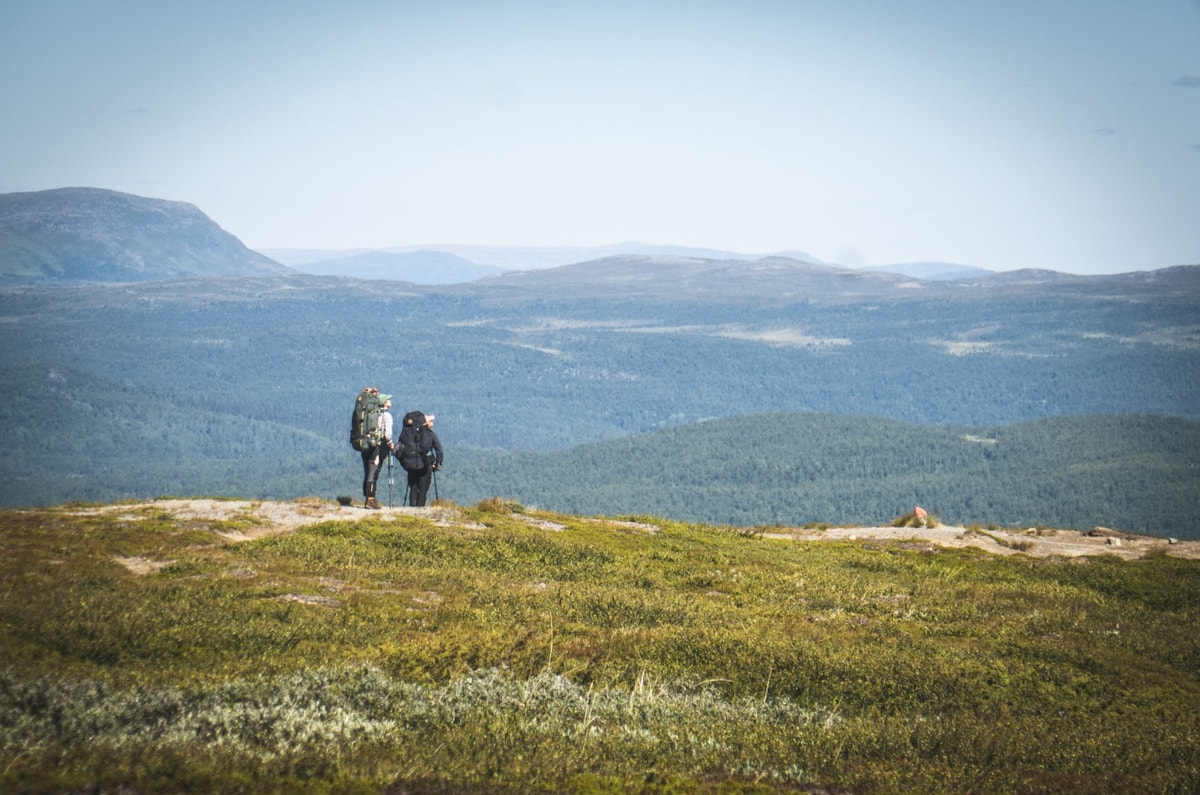 3-Night Midsummer Hike in Sweden Fjällnäs to Storulvån