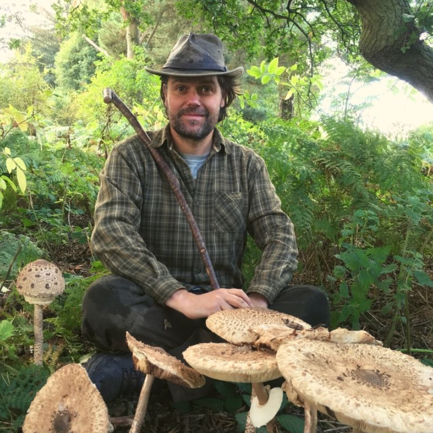 Autumn Foraging Walk at Chirk Castle in Wrexham