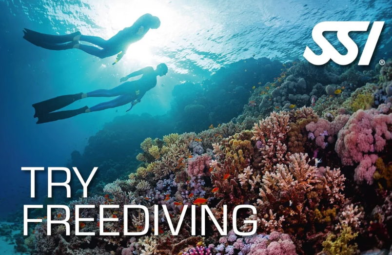 Try Freediving – SSI Beginner Pool Course in Oswestry