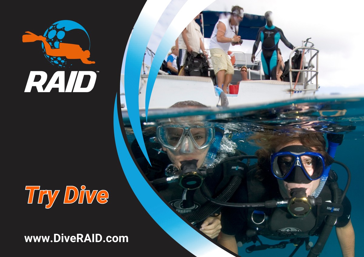 Try Dive in Seaton Deleval