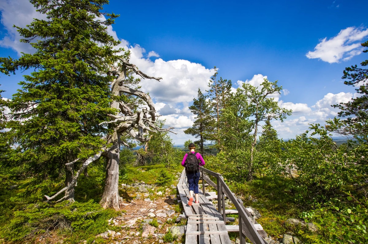 Korouoma Canyon Hike and Barbecue in Rovaniemi