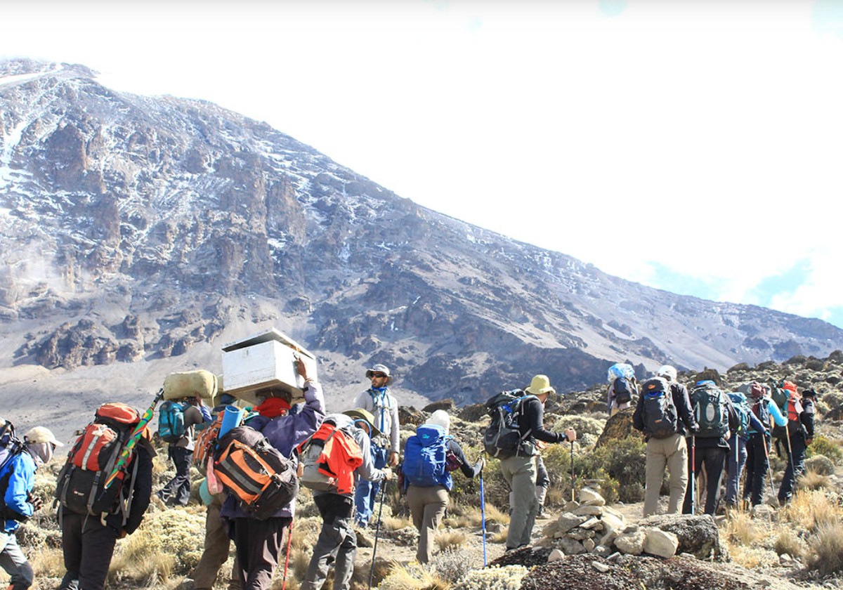 6-Day Kilimanjaro Ascent via Marangu Route