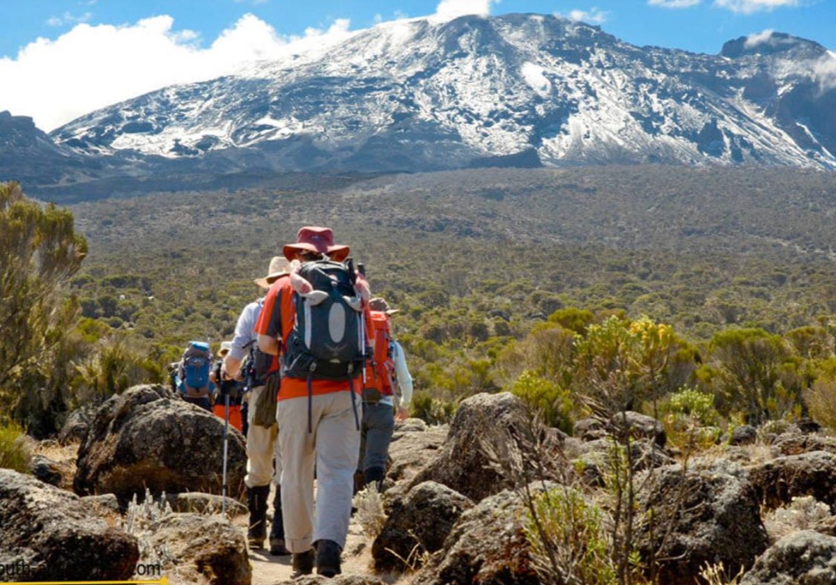 8-Day Guided Kilimanjaro Ascent via the Lemosho Route