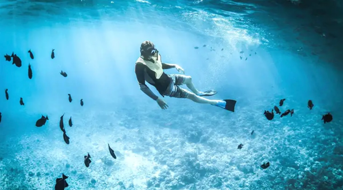 PADI Skin Diver Course (Snorkelling & Breath-Hold Skills)
