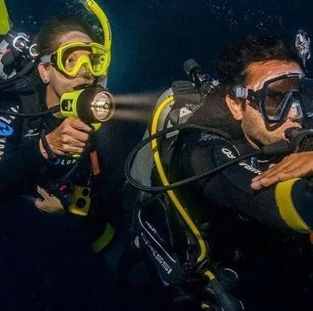 Guided Night Diving Adventure in Dibba Al Fujairah