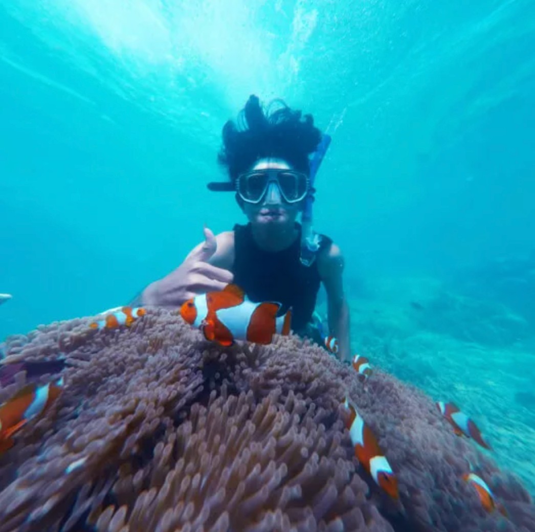 Snorkelling Trip in Dibba Al Fujairah (Morning or Afternoon)