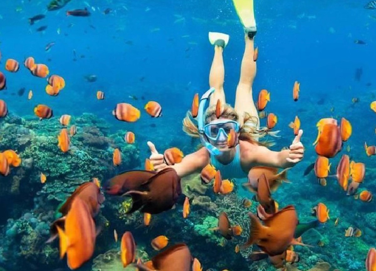Ras Mohammed National Park Snorkelling Boat Trip with White Island