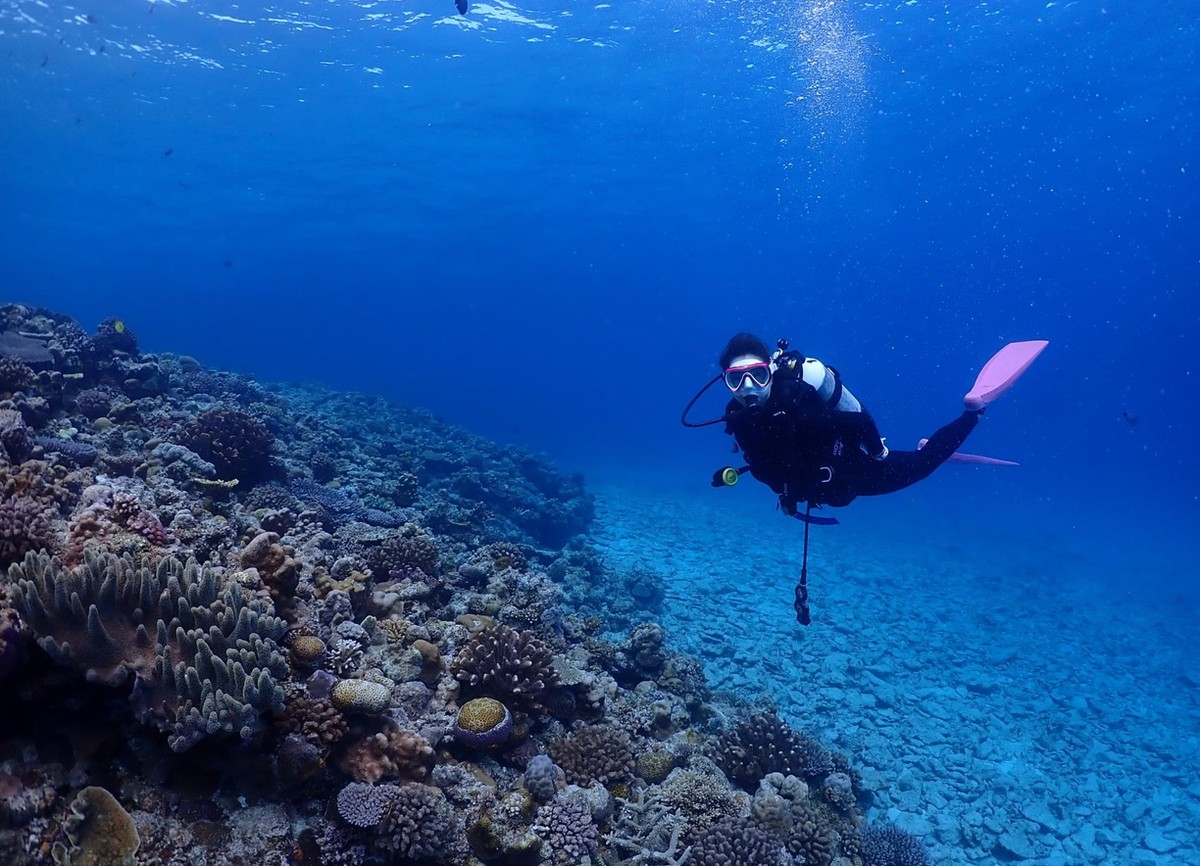Okinawa Boat Fun Diving – Private Dives at Minna, Sesoko or Motobu for Certified Divers