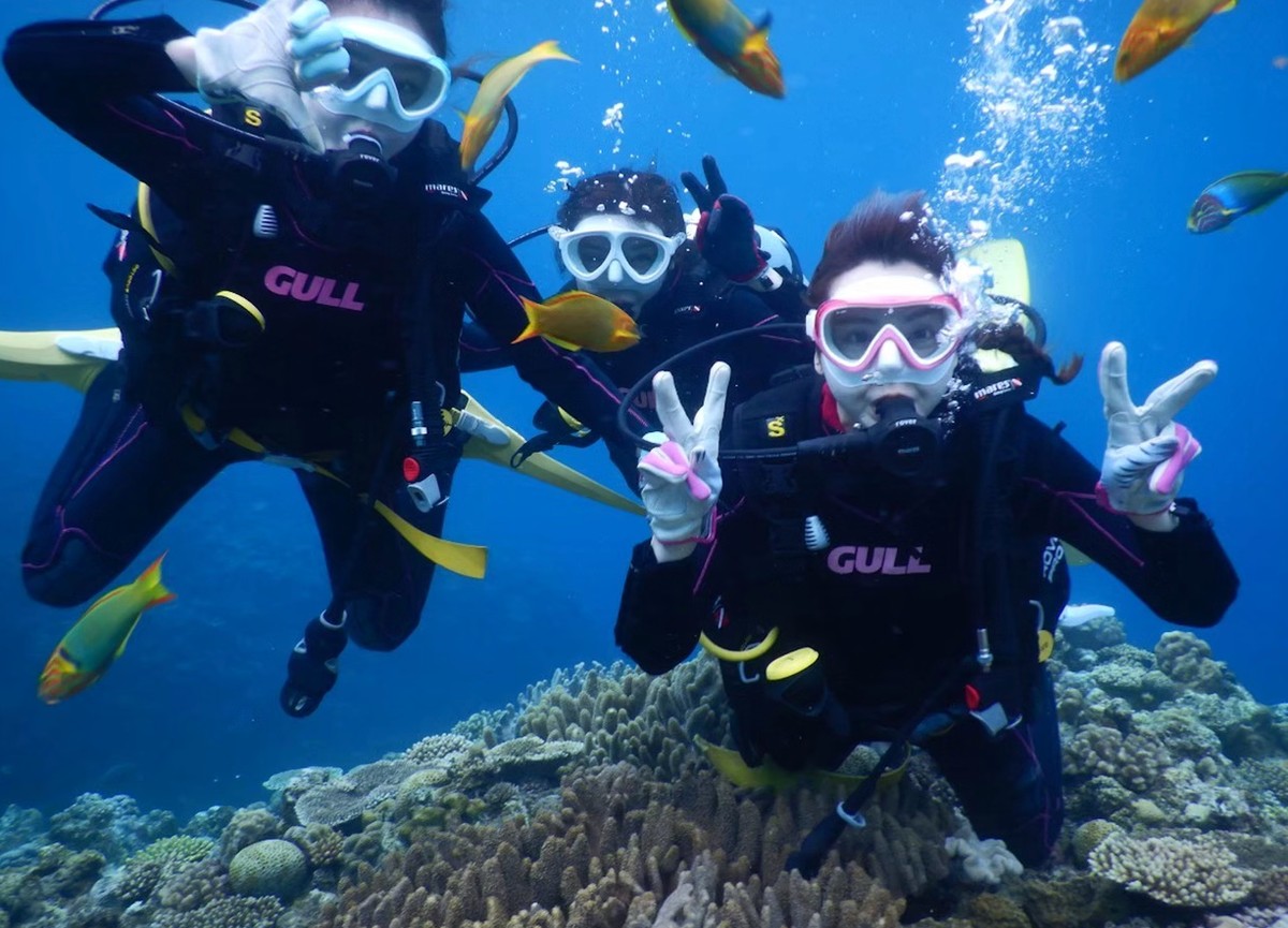 Okinawa Discover Scuba Diving – Private Two-Dive Experience at Minna, Sesoko or Motobu