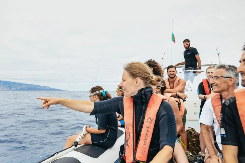 Whale & Dolphin Watching Speedboat Tour from Funchal