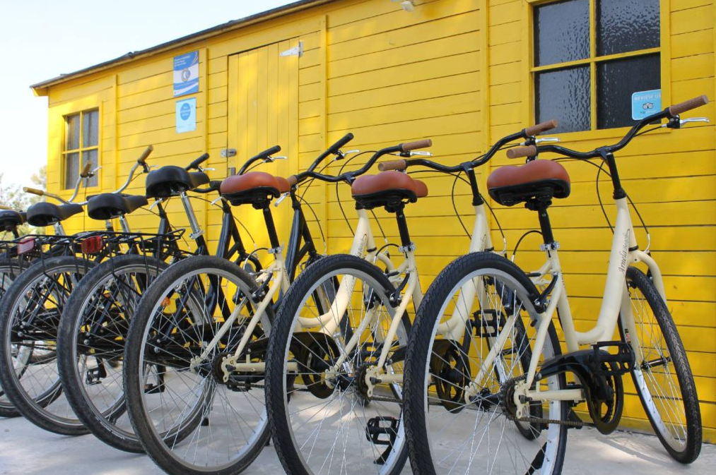 Bicycle Rental in the Delta de l’Ebre
