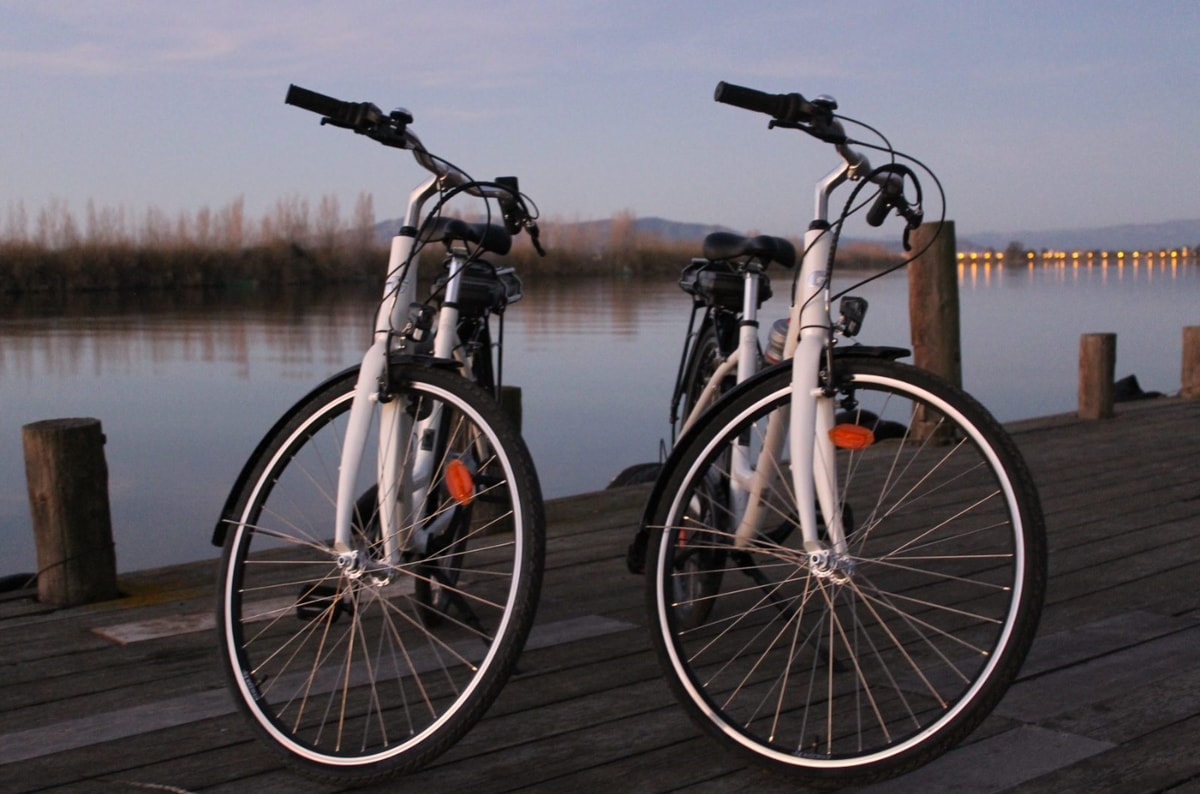 Electric Bike Rental in the Delta de l’Ebre