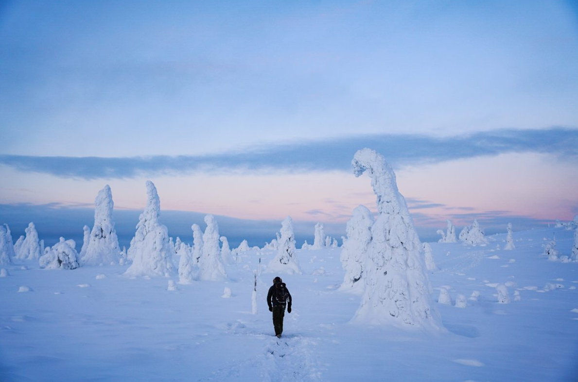 Arctic Adventure through Magical Frozen Forests of Riisitunturi