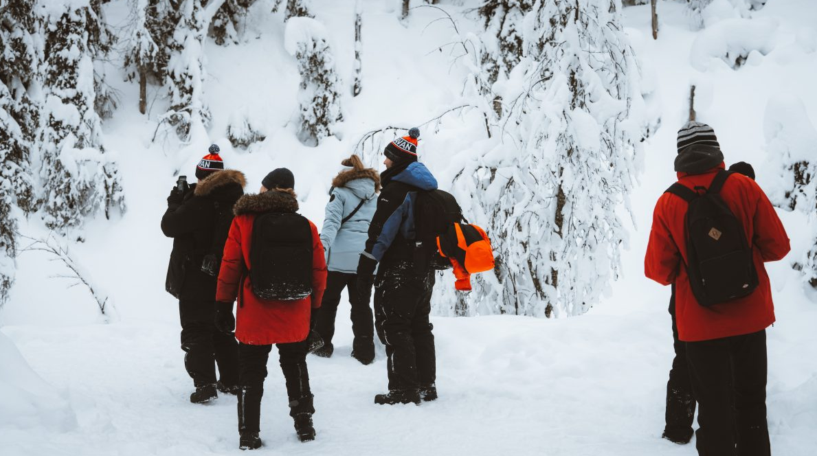 Family Friendly Frozen Waterfalls Tour from Rovaniemi