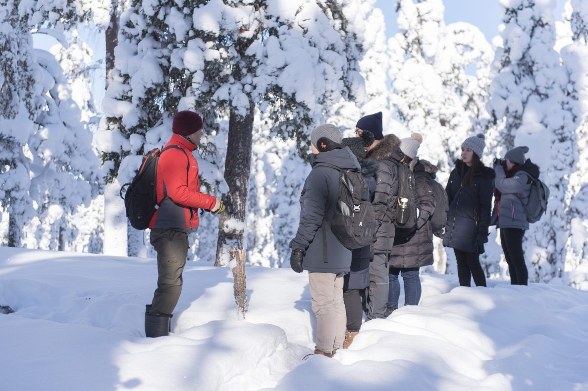 Winter Wilderness Survival Tour in Rovaniemi