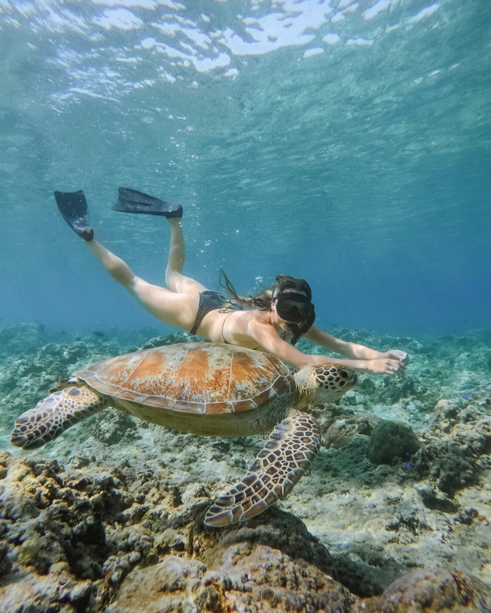 Gili Islands Turtle Snorkelling and Underwater Statue Experience