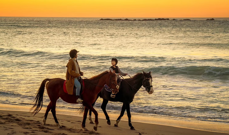 Horseback Riding Experience in Tangier Mnar Coast