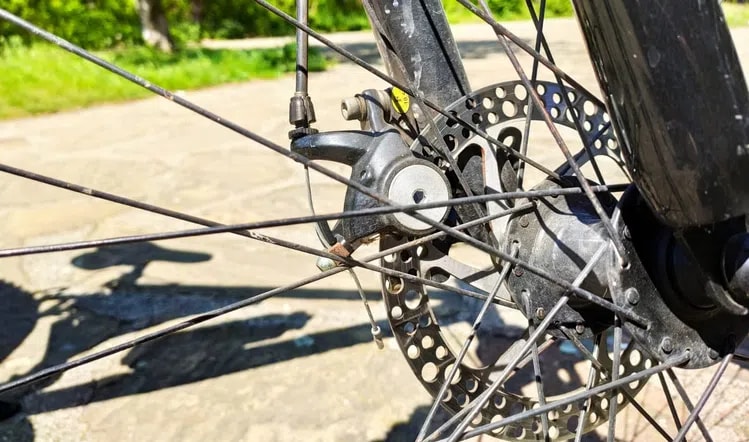 Private Full Day Cycling Tour in the Rhodope Mountains