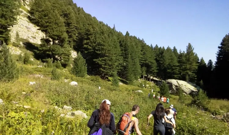 Private Trekking Tour in Rila Mountains and Mount Musala from Sofia