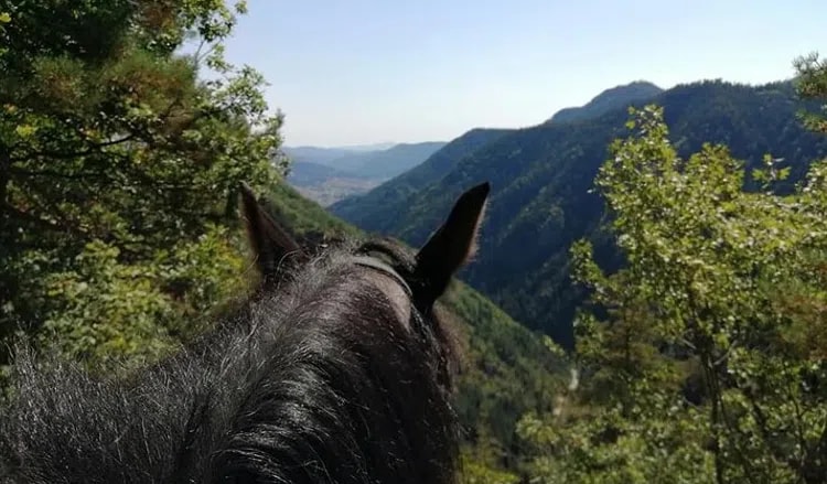 Horse Riding Tour to Soskovcheto Preserve