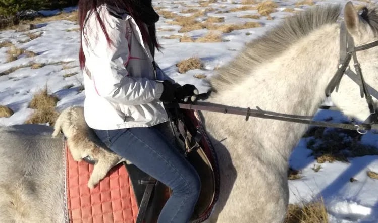 The Ultimate Private Balkan Horse Riding Experience