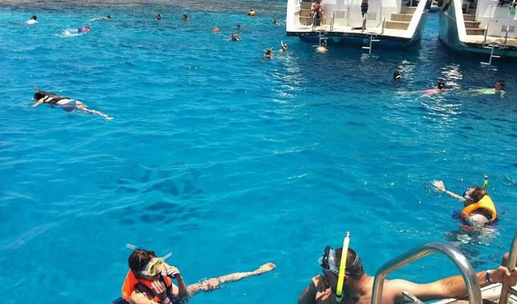Ras Mohamed National Park and White Island Snorkelling Boat Trip