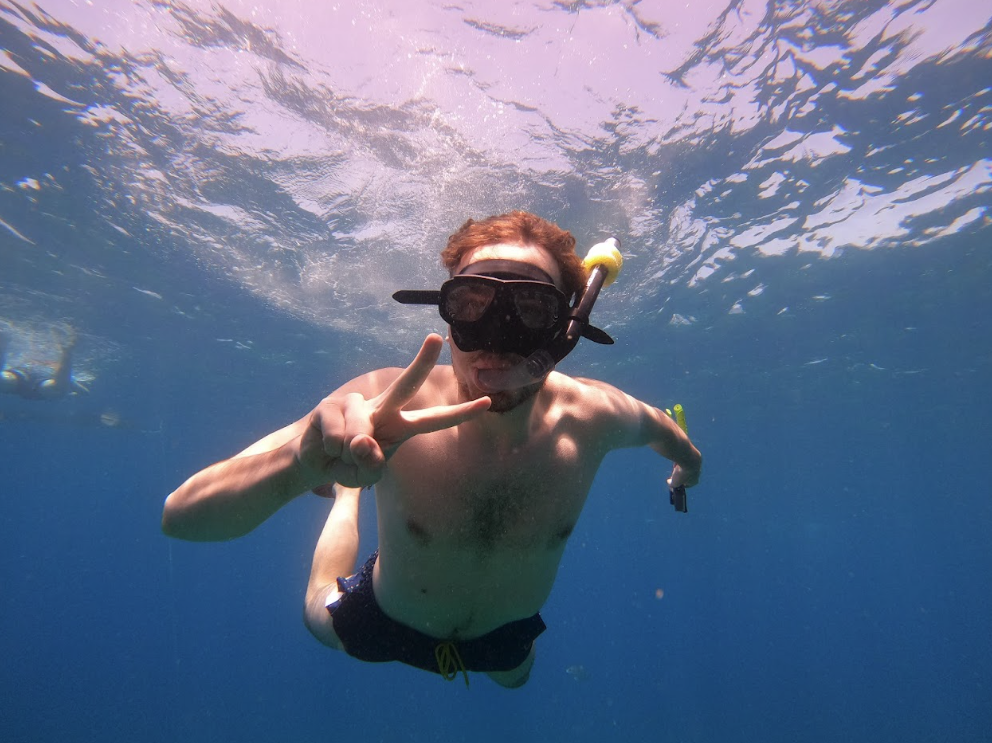 Snorkelling in Tenerife with Rays and Marine Life
