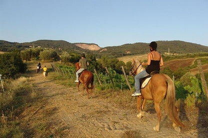Bodrum Horse Riding Experience with Hotel Transfers
