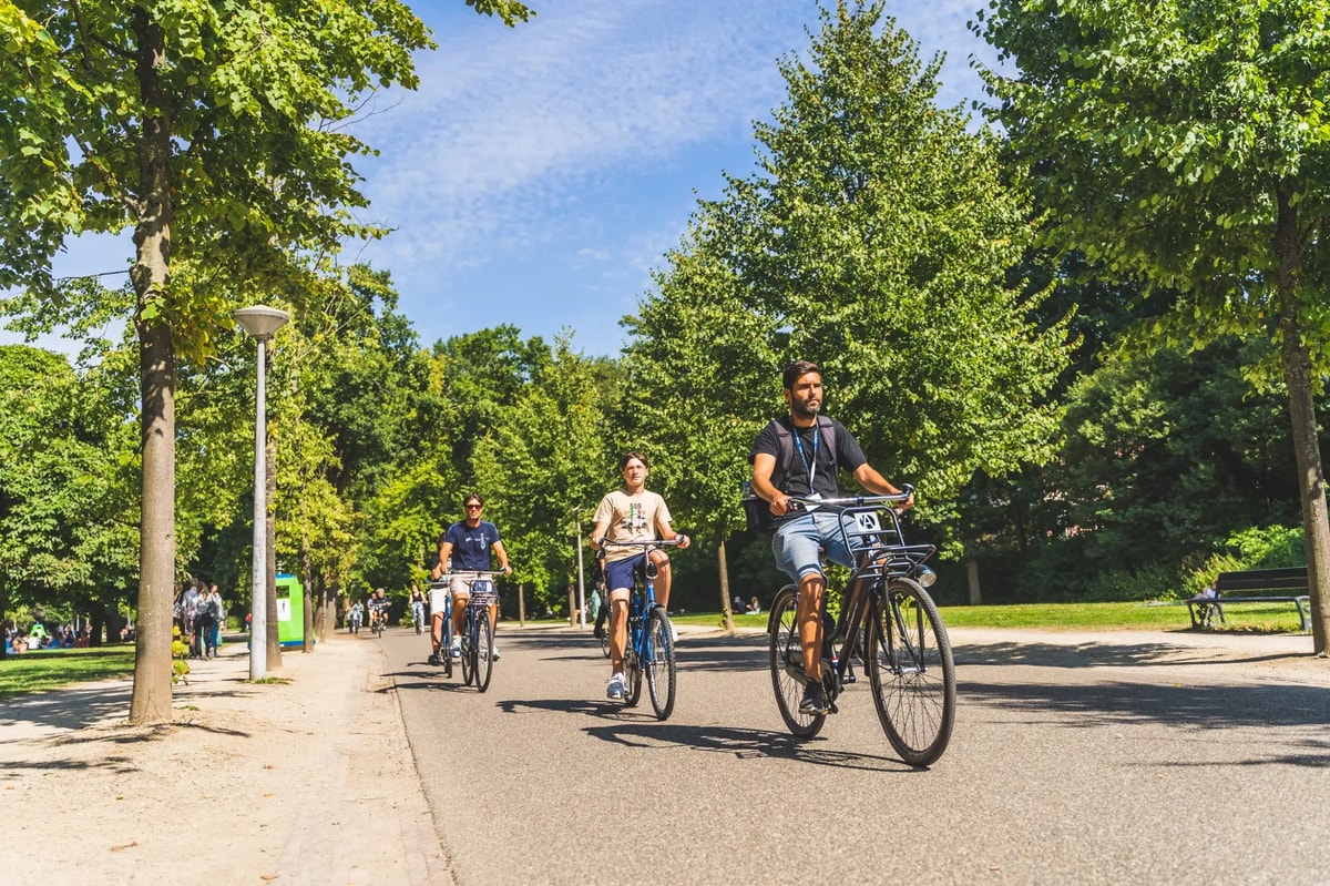 Amsterdam Countryside Bike Tour & Canal Cruise | Discover the Best of Land and Water