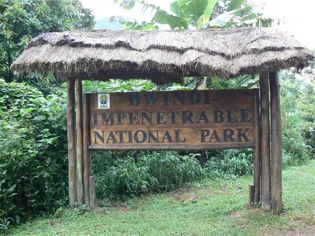 8 Days – Uganda Gorilla Safari & Chimpanzee Trekking