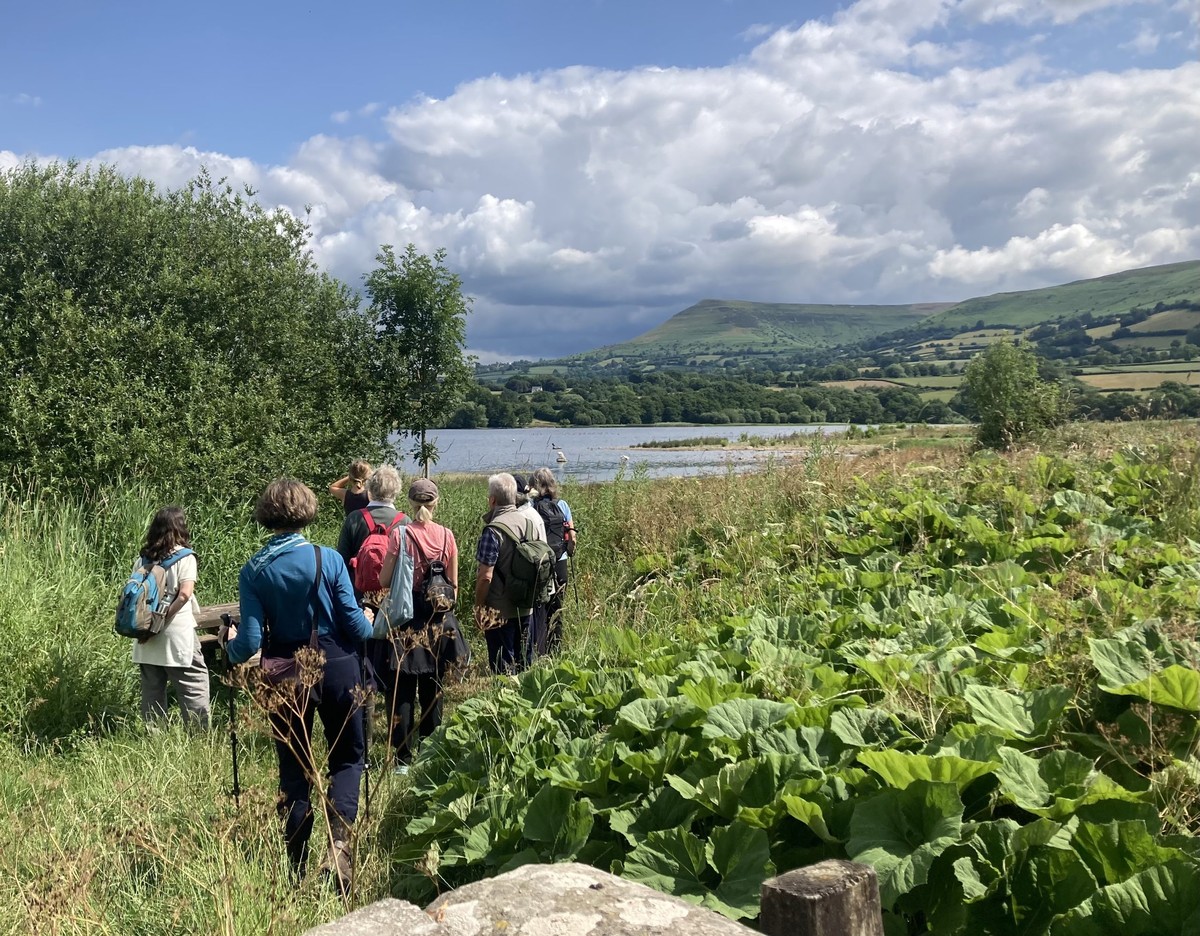Llangorse Lake & Hill Fort: A Scenic Circular Walk