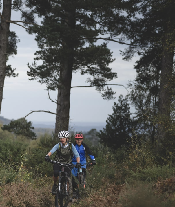 1-2-1 MTB Coaching – Surrey Hills