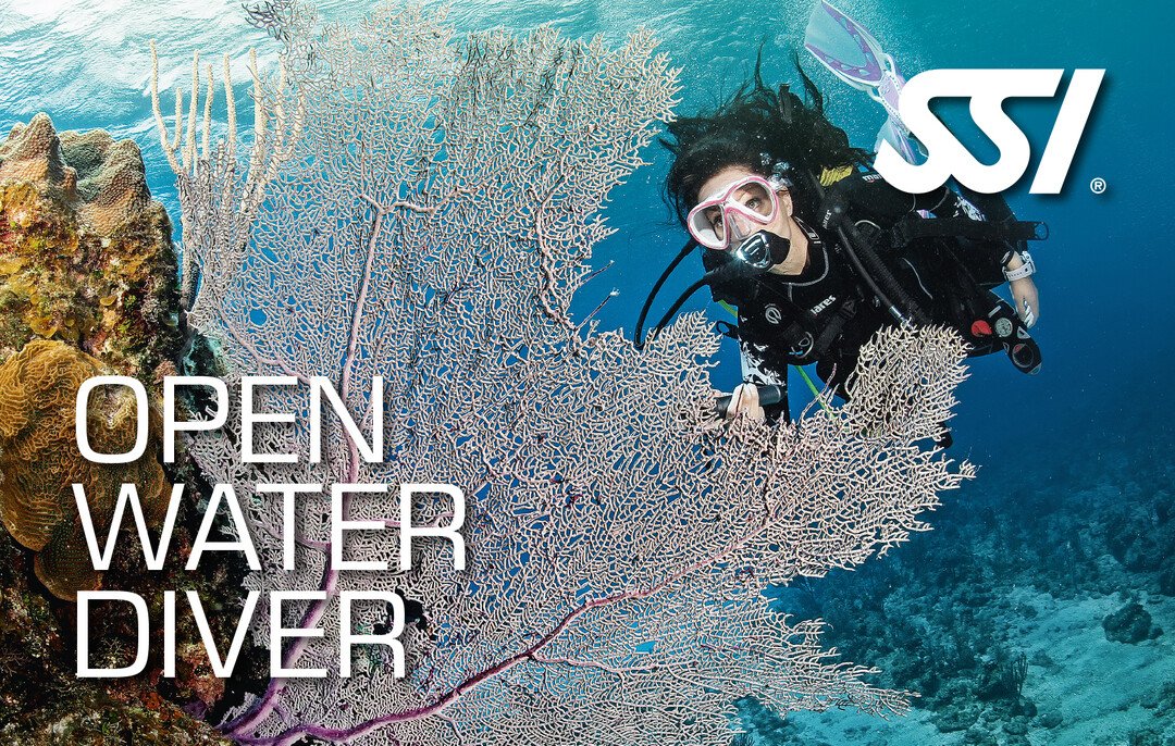 SSI Open Water Diver Course in Borehamwood, Hertfordshire