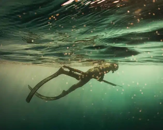 2-Day Spearfishing Course in Cornwall