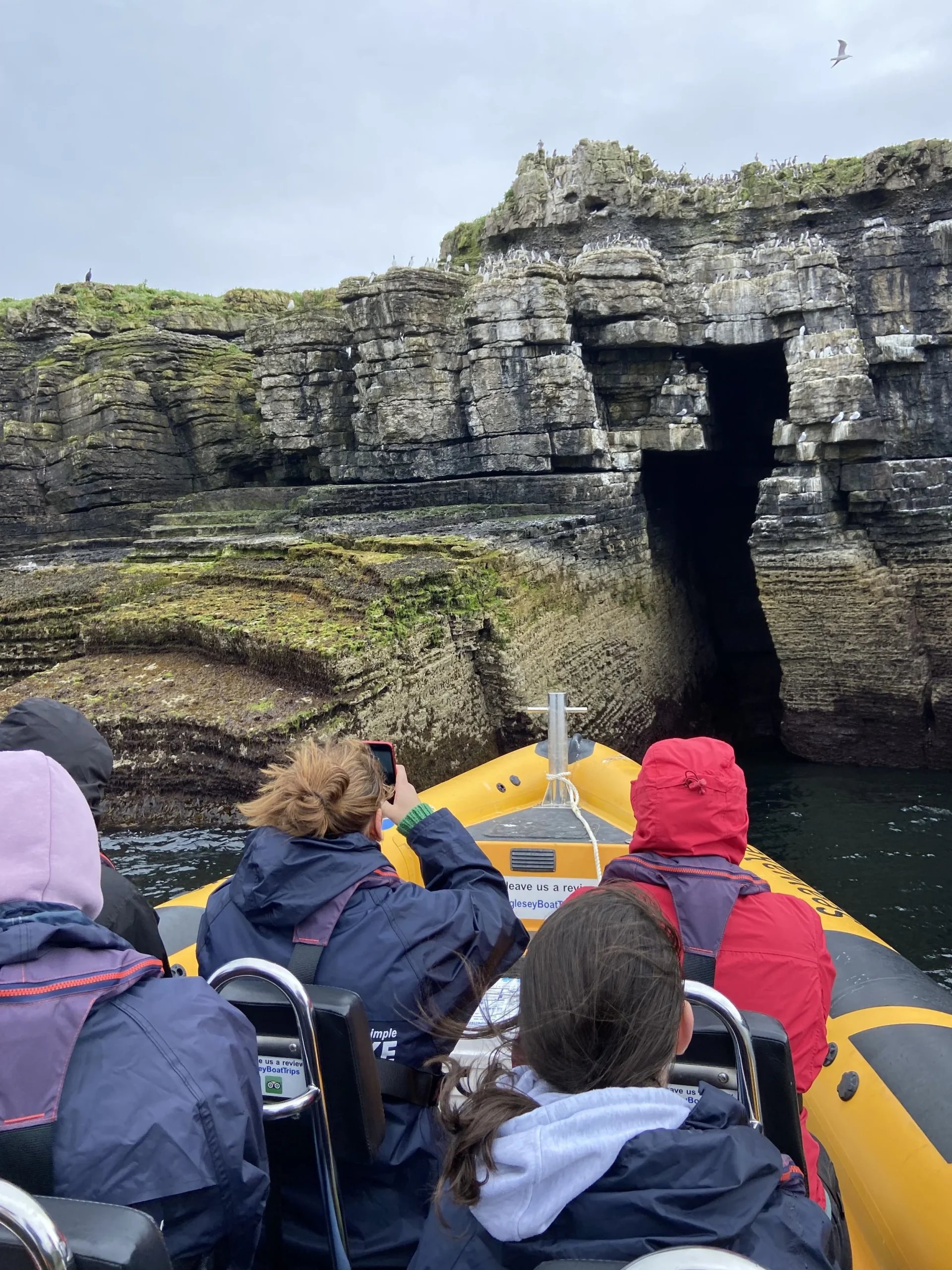 Puffin Island RIB Tour in Beaumaris