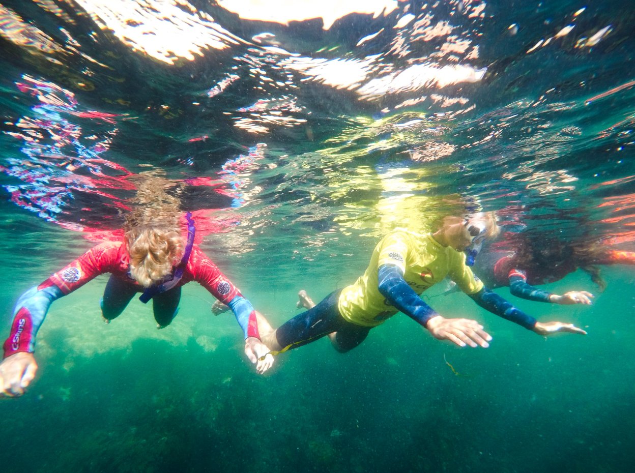 Snorkelling Tour in Newquay, Cornwall