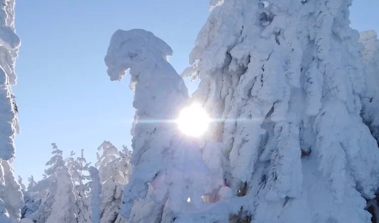 Private 2 Day Snowshoe Adventure from Sofia