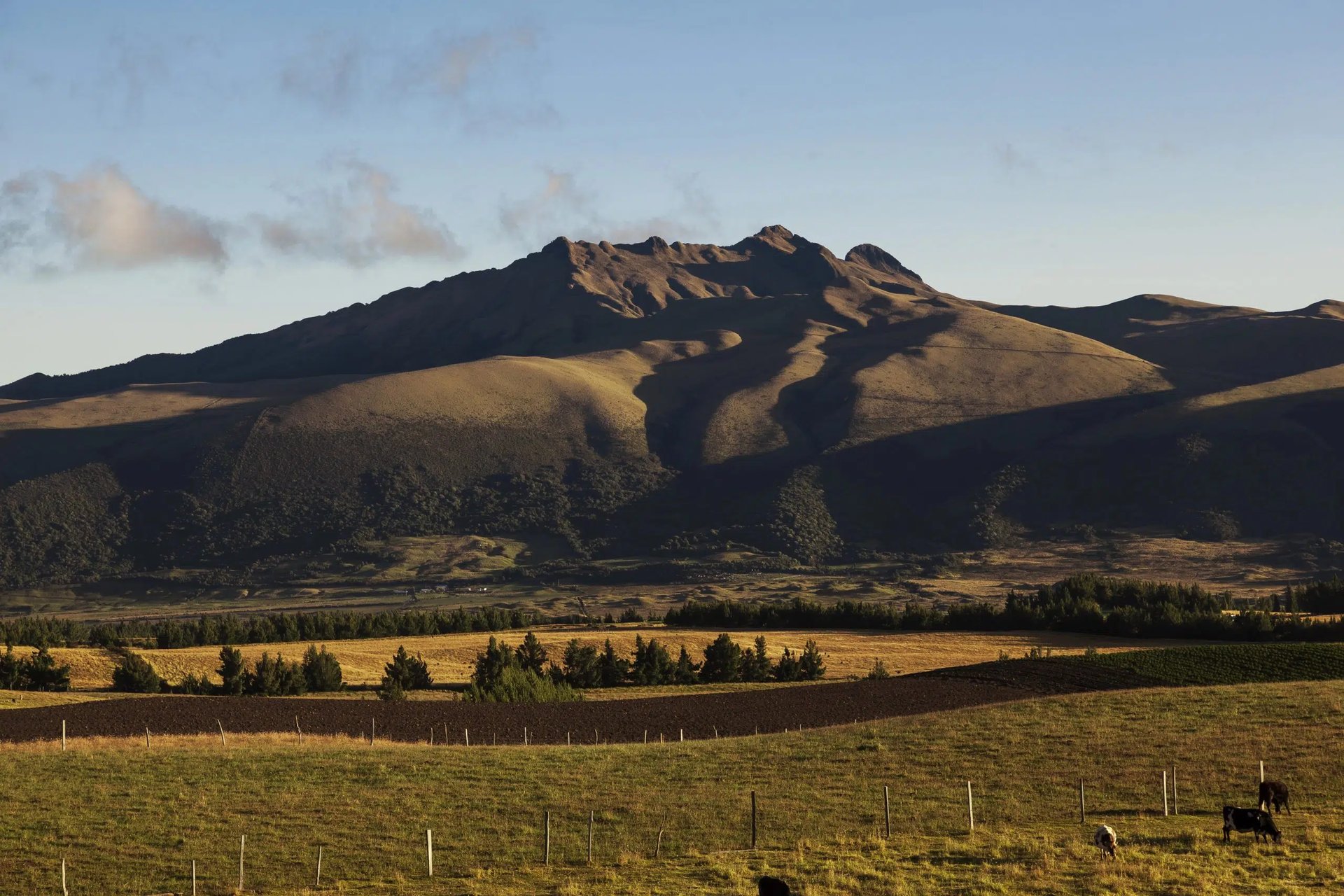 Pasochoa Ascent in the Ecuadorian Andes