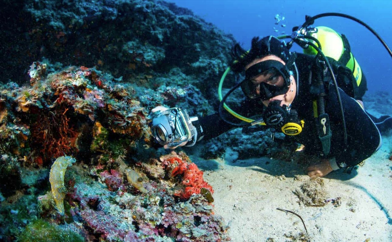 Advanced Open Water Diver Course in Santa Ponça, Mallorca