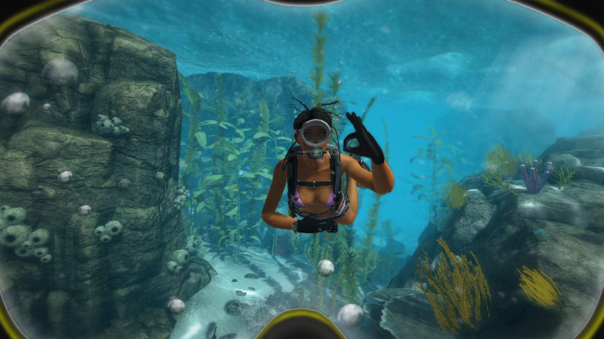Side Scuba Diving Experience with Two Dives, BBQ Lunch & Hotel Transfers