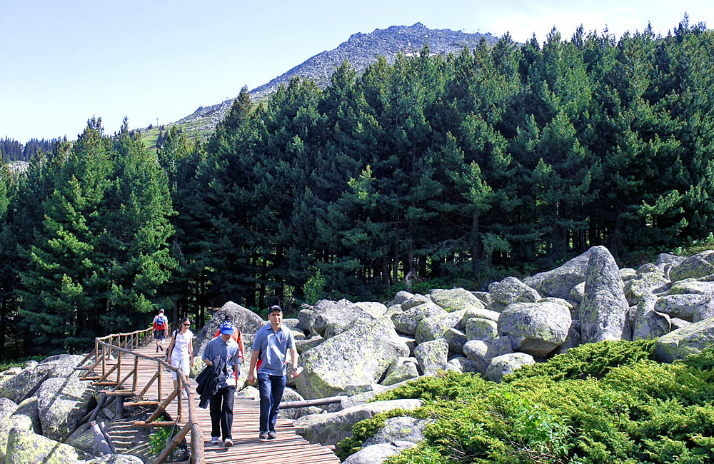 Cherni Vryh Peak Hiking Tour from Sofia (2290m)
