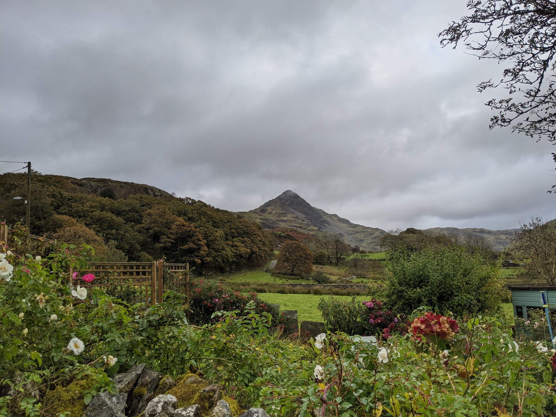Cnicht Guided Mountain Hike in Snowdonia