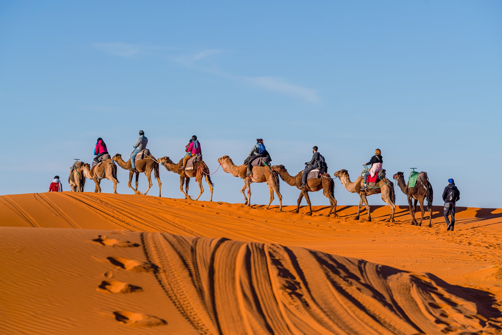 Shared 3 Days 2 Nights Merzouga Camel Trek from Marrakech