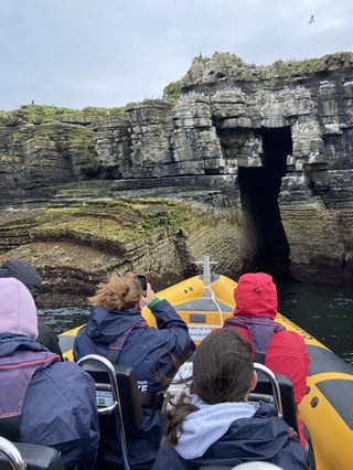 Puffin Island RIB Tour in Beaumaris, listing photo