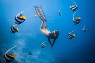 Private Guided Snorkel at Santa Maria and Chileno Bay, Los Cabos, listing photo