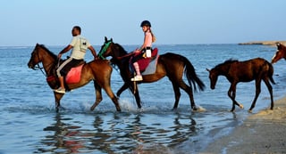 Horse Riding on Desert and Beach in Hurghada, listing photo