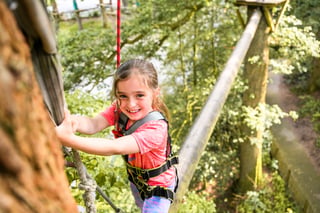 ‘Mini Trek’ Kids High Ropes Adventure in Windermere, listing photo