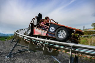 ‘Tower Coaster’ Alpine Coaster in Aberdare, listing photo