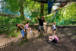 ‘Treetop Nets’ Bouncy Treetop Adventure in Windermere, listing photo